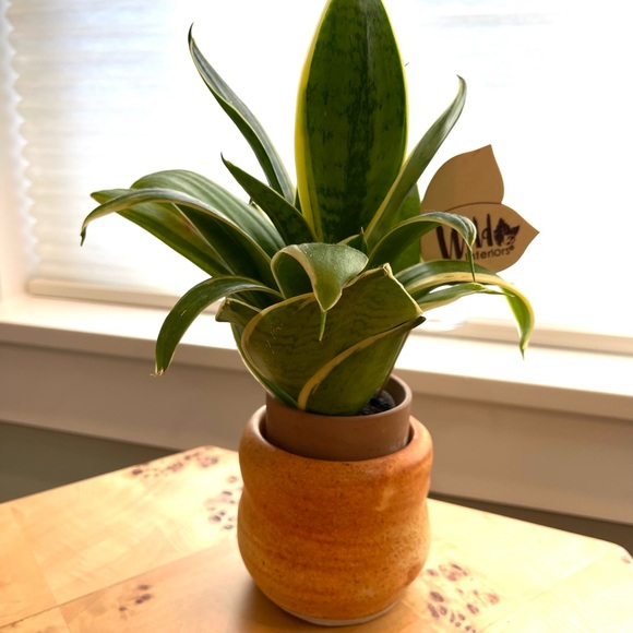 Hand Crafted Other - Last price NEW handmade planter or vase, one of a kind!